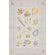 Momeni Lil' Mo Classic Soft Pink Kids Rug