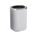 Gedy by Nameeks Bijou Toothbrush Holder