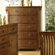 Somerton Craftsman 5 Drawer Chest