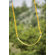 Kids Creations Yellow Belt Swing