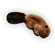 KONG Dr. Noy's Beaver Plush Dog Toy