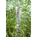 Blomus Campo Rain Gauge