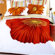 Le Vele Cicek Duvet Cover Bedding Set