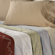 Veratex, Inc. Supreme Sateen 500 Thread Count Scroll Pillowcase (Set of 2)