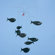 Flensted Mobiles Shoal of Fish Mobile