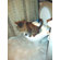 CitiKitty Cat Toilet Training Kit
