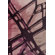 nuLOOM Cine Paint Splatter Burgundy Rug