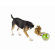 Planet Dog Orbee Tuff Mazee Dog Toy