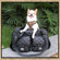 Backbone Pet Chloe Pet Carrier