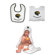 McArthur Towels NFL Team Toddler Set