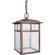 Forte Lighting One Light Outdoor Pendant with Clear Shade in Rustic Sienna