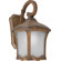 Forte Lighting One Light Outdoor Wall Lantern in Rustic Sienna