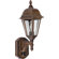 Forte Lighting One Light Outdoor Lantern with Clear Glass Shade