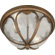Forte Lighting 13"Two Light Outdoor Flush Mount with Clear Seeded Glass