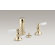Kohler Bancroft Double Handle Vertical Spray Bidet Faucet