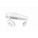 Philips Consumer Luminaire Two Light Dimmable Ceiling Light in White