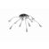 Philips Consumer Luminaire Kidsplace 10 Light Pendant