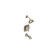 Moen Voss Posi-Temp Pressure Balance Tub and Shower