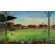Room Mates Under the Lights Chair Rail Prepasted Mural 6' x 10.5'