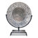 Minka Ambience Charger Plate in Silver and Black