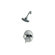 Price Pfister Volume Control Shower Faucet 