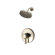 Price Pfister Volume Control Shower Faucet 