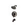 Price Pfister Volume Control Tub and Shower Faucet