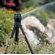 Orbit Tripod Sprinkler Base