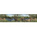 4 Walls Whimisical Wall Jungle Mural Style Border in Multi