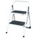 Buffalo Tools AmeriHome 2 Step Ladder