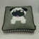 lava Little Doggy Pillow