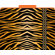 Barker Creek & Lasting Lessons Functional File Folders Tiger