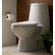 Porcher L'Expression II One Piece Elongated Toilet
