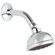 Grohe Tempesta Trio Shower Head with Arm and Flange