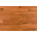 Jasper 2-1/4" Solid White Oak in Butterscotch