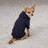 Casual Canine Basic Hoodie Dog Apparel ZA6015