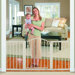 Sure and Secure Metal Expansion Gate (3l)