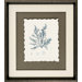 Nature I / III / IV Framed Art (Set of 3)