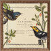 Summer Pages I/II Wall Art (Set of 2)