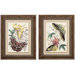 Fancy Flight I/II Wall Art (Set of 2)