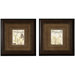 Dragonfly I / II Framed Art (Set of 2)