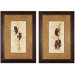 Black Bears and Cubs Framed Print Set
