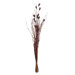 Deep Brown Grass with Flowers