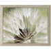 Dandelion I by Miller Candice Olson Art - 26" x 32"