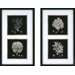 Coral by Unknown Waterfront Art (Set of 2) - 36" x 21"
