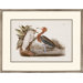 Audubon Egrets by Audubon Traditional Art (Set of 2) - 24" x 31"