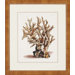Antique Coral II by Unknown Waterfront Art - 30" x 26"