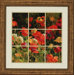 Iceland Poppies by Roulette Florals Art - 46" x 46"