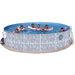 42" Round Pool Package with Port Hole