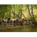 Shady Creek Horses 500 Piece Puzzle